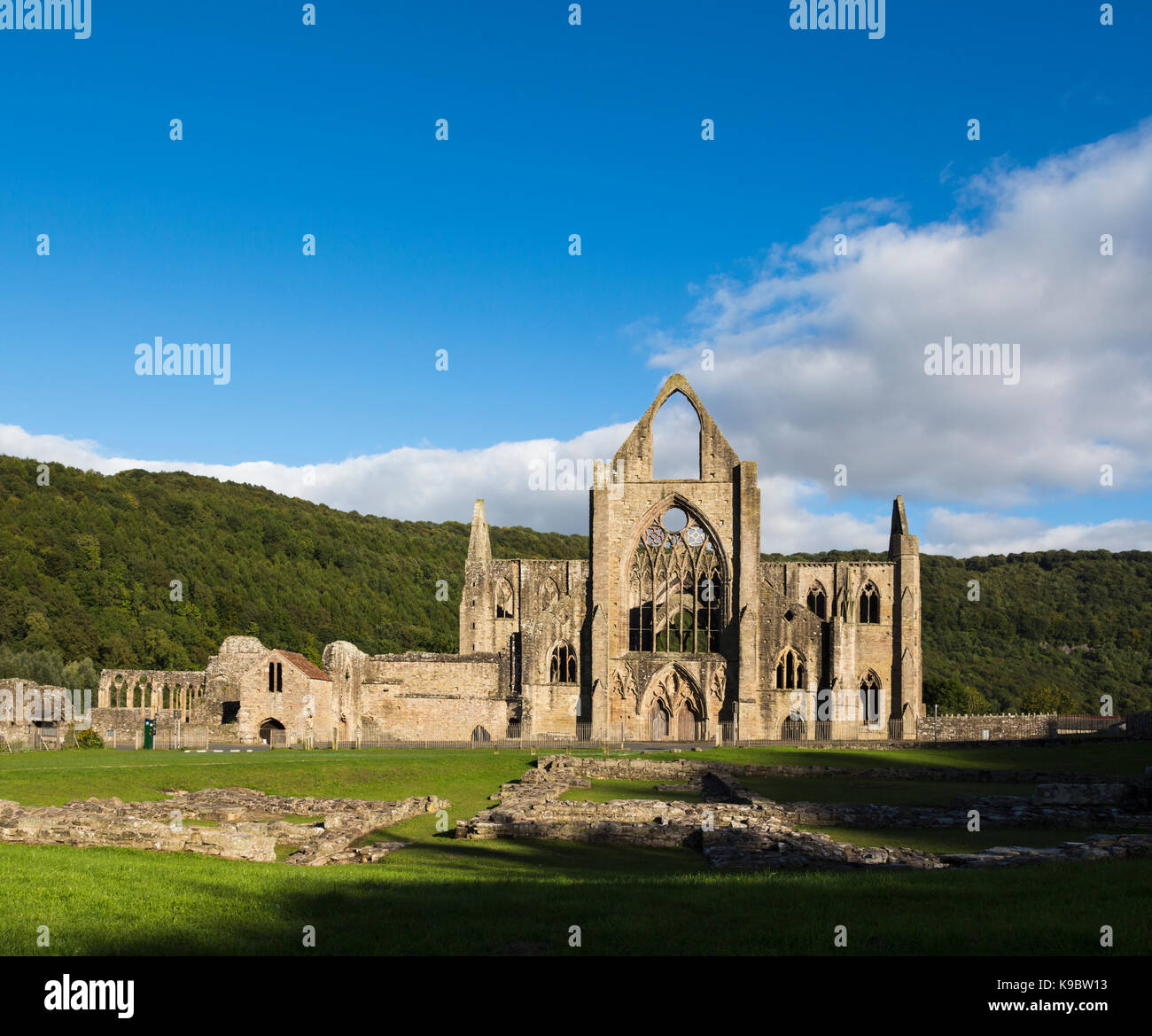 Tintern Abbey, Monmouthshire, Wales, Vereinigtes Königreich. Die Abtei wurde 1131 gegründet. Stockfoto