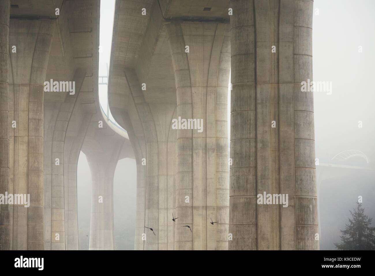 Säulen der Autobahnbrücke in den geheimnisvollen Morgennebel. Prag, Tschechische Republik Stockfoto