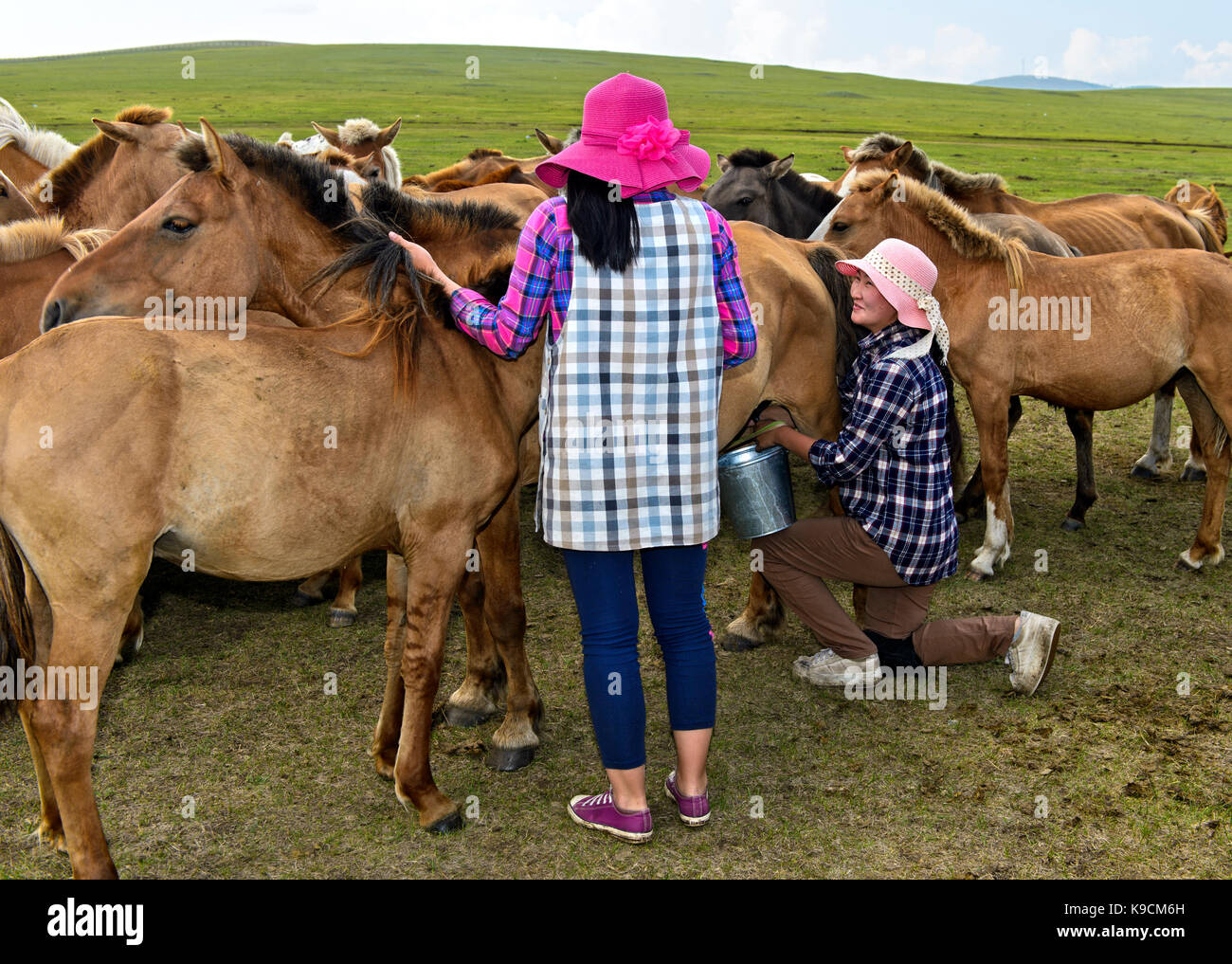 Zwei junge Frauen mit modischen Hüte melken eine Stute, die Mongolei Stockfoto