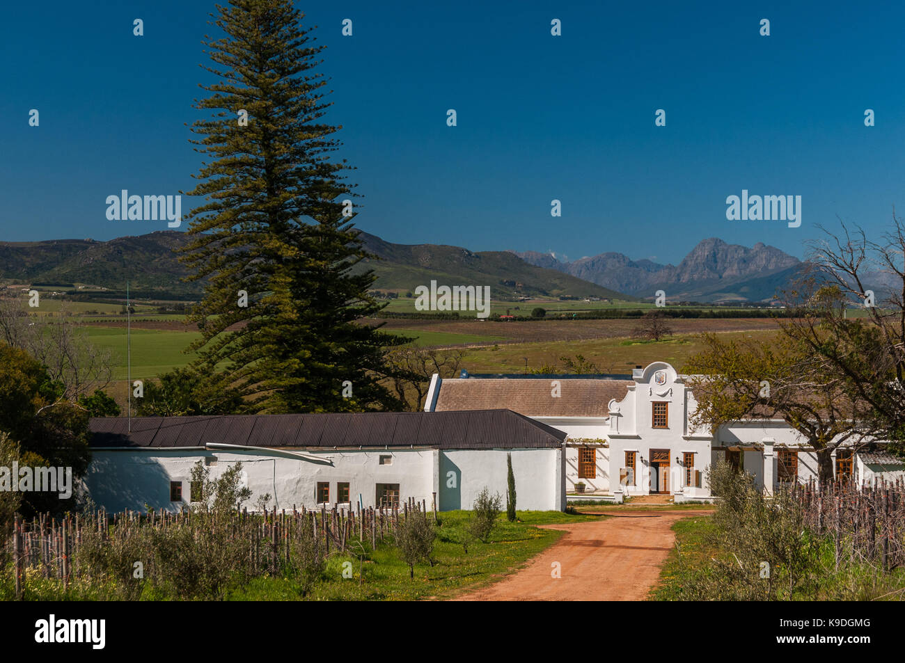 Scali Winery, Swartland, Südafrika Stockfoto