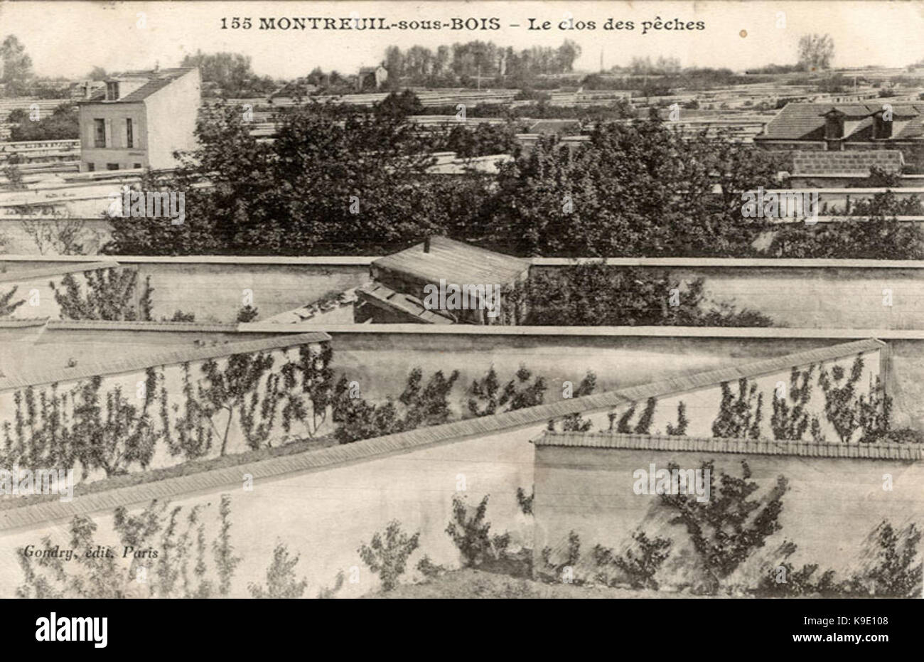 Montreuil murs ein peches 06. Stockfoto