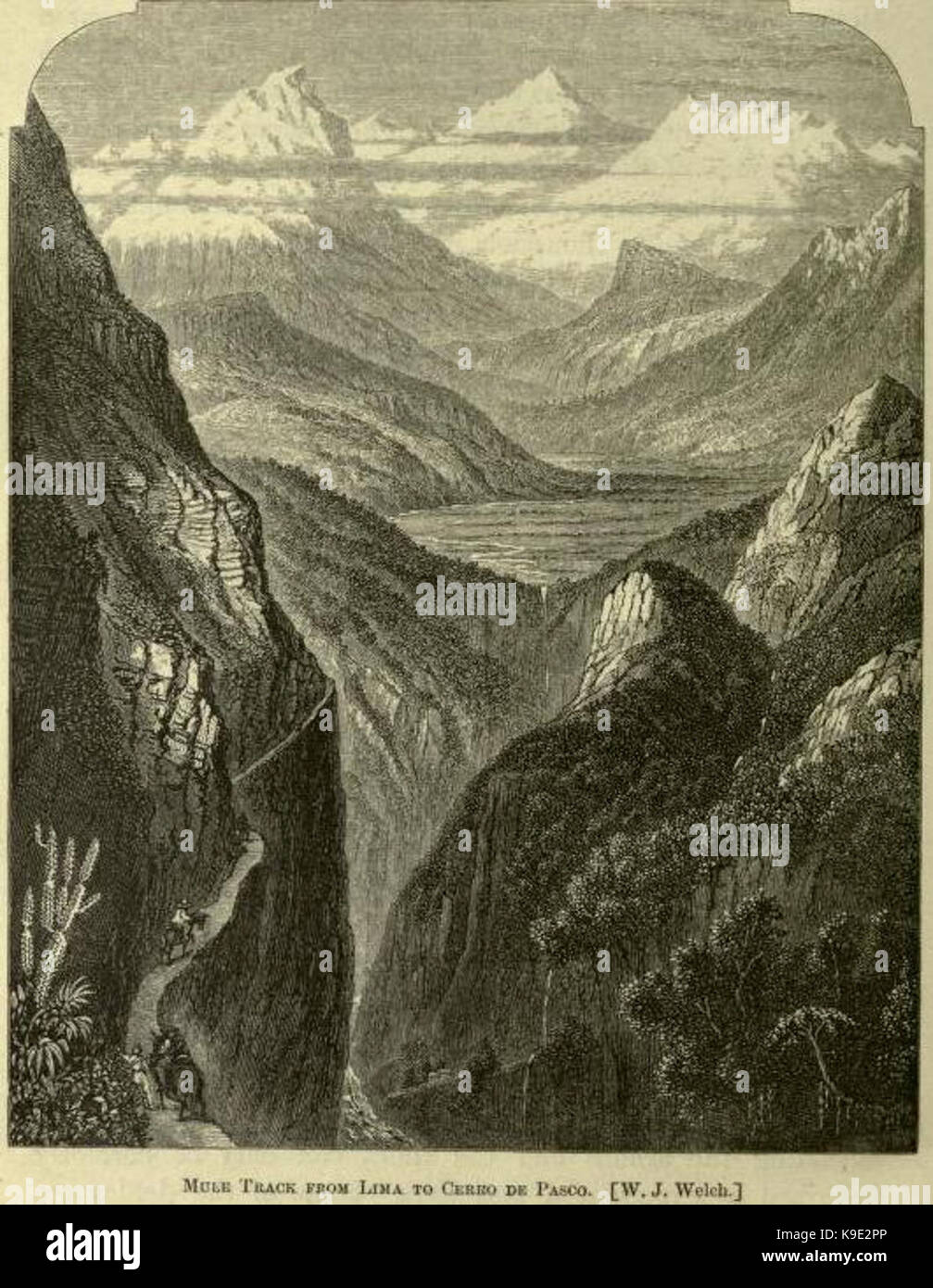 Saumpfad von Lima nach Cerro de Pasco von WJ Welch Stockfoto