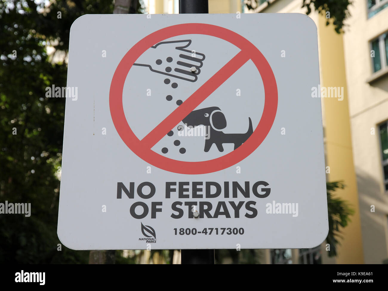 Singapur Gesetze Stockfoto