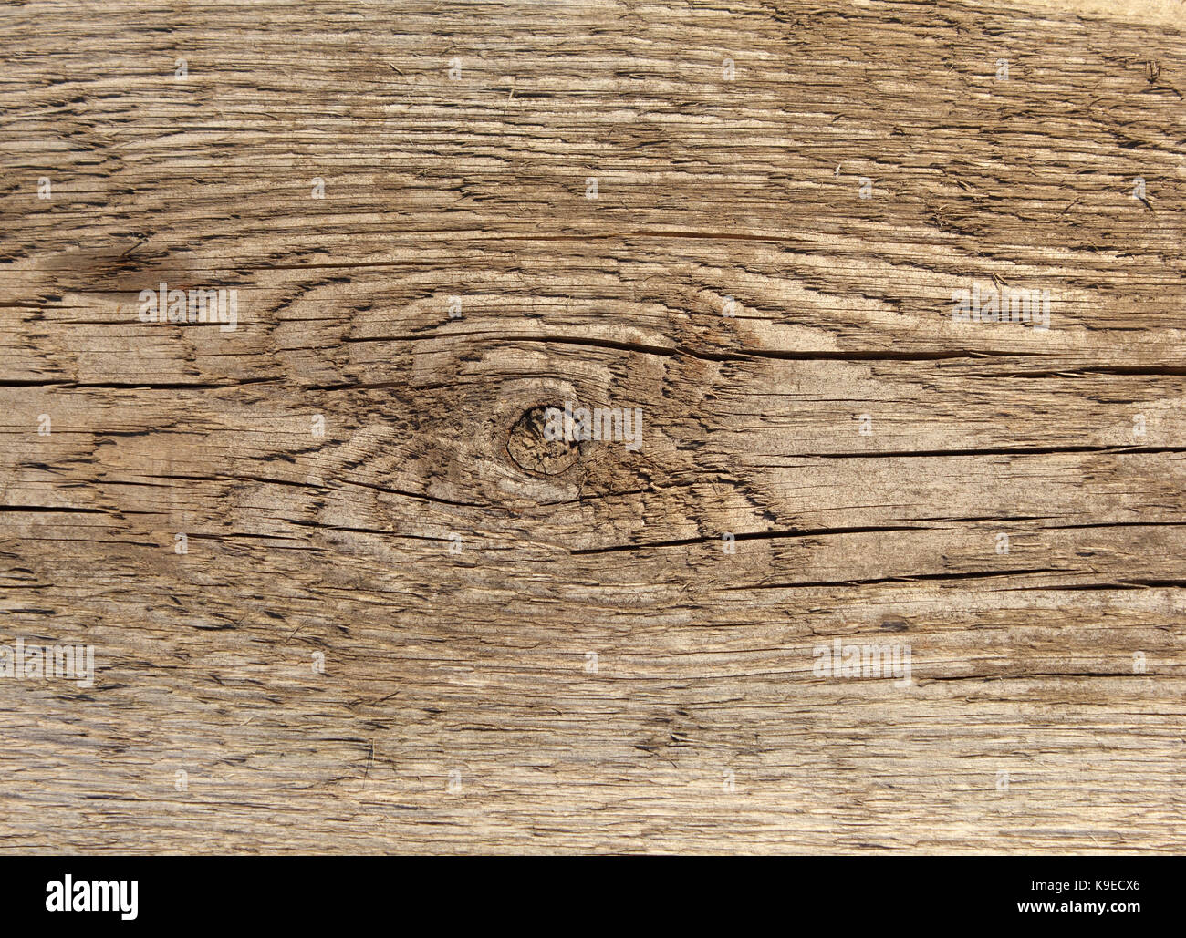 Altes holz Plank mit Khot Textur Foto Stockfoto