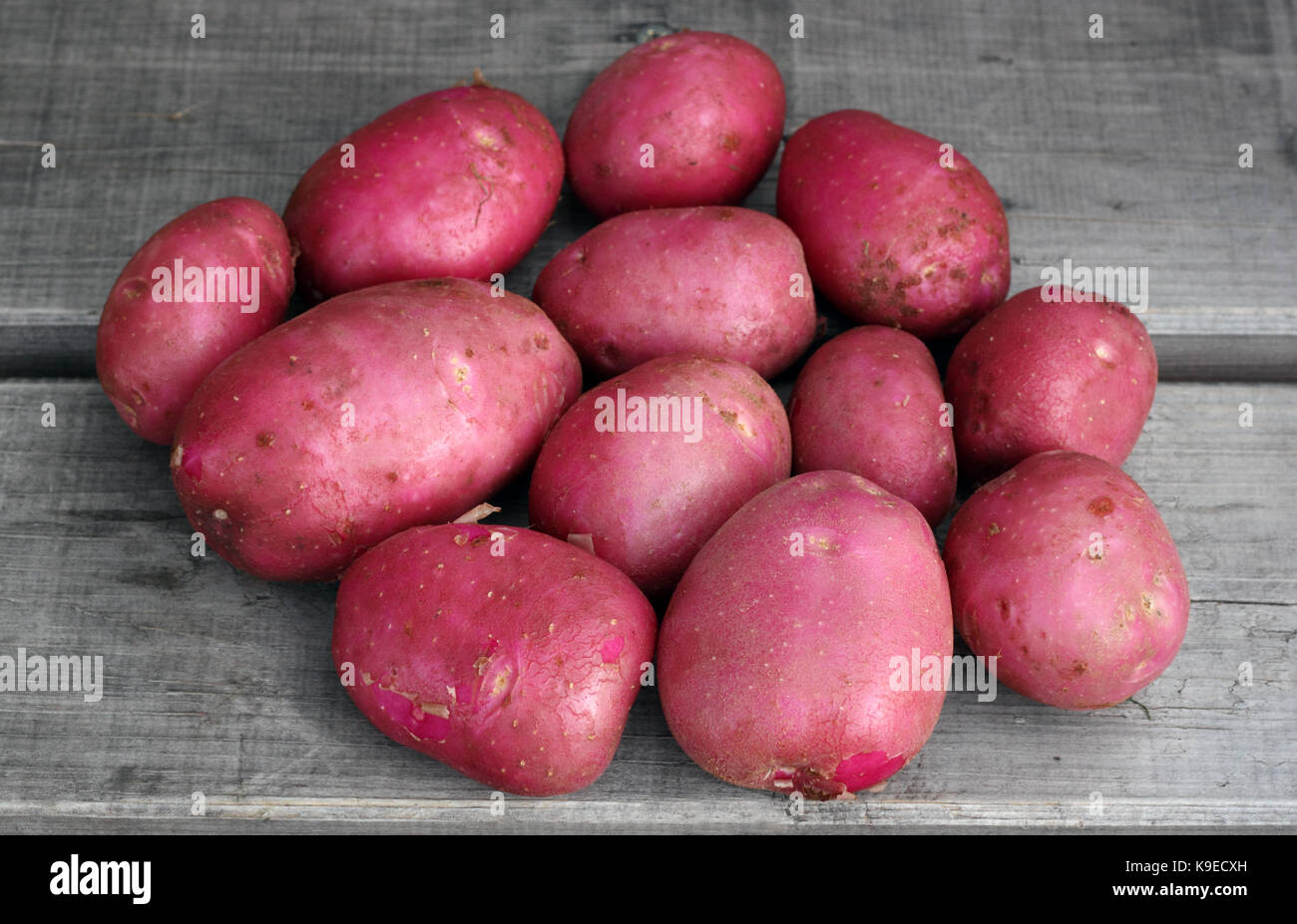 Neue rote potetoes auf dem alten Board Oberfläche Foto Stockfoto