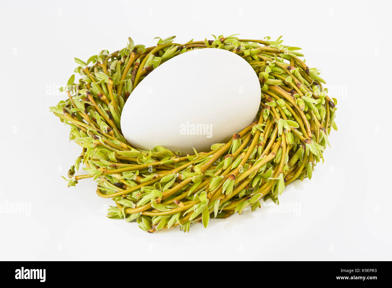 Eier in ein Nest mit Zweigen und Willow Kätzchen auf einem weißen Hintergrund. Ostern. Stockfoto