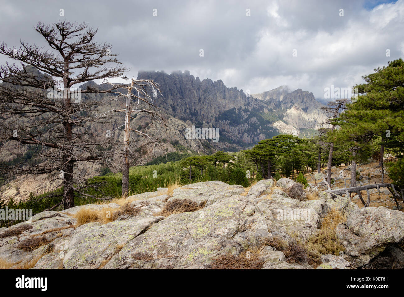 Die Aiguilles de Bavella sind felsige Spitzen aus rotem Granit, die den Hügel mit dem gleichen Namen dominieren. Der Name bedeutet Nadeln von Bavella. Stockfoto