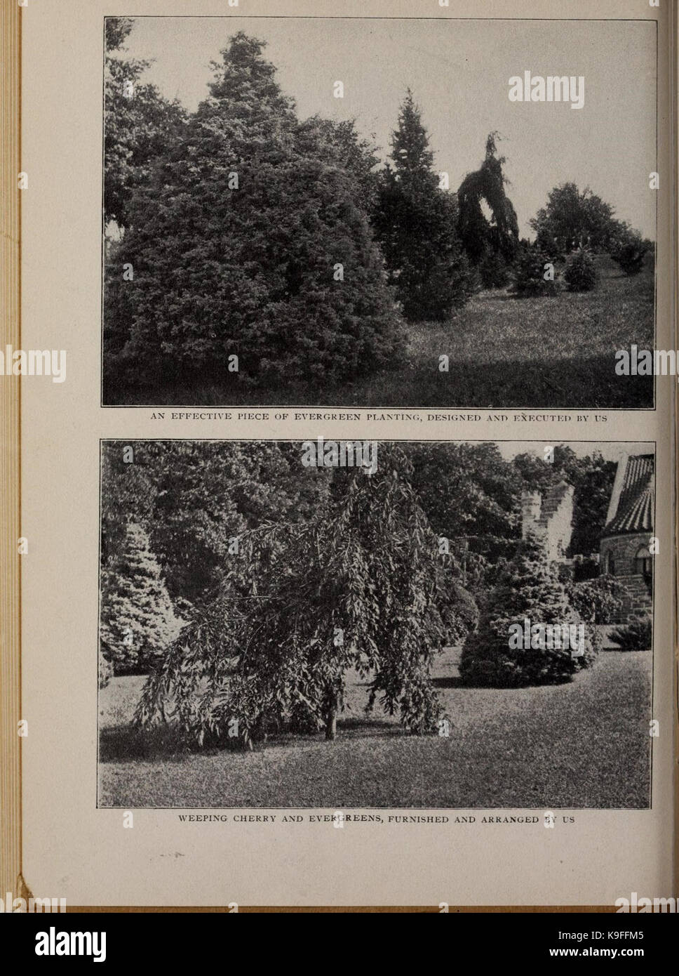 Moon's hardy Bäume und Pflanzen für jeden Ort und Zweck (16765345891) Stockfoto