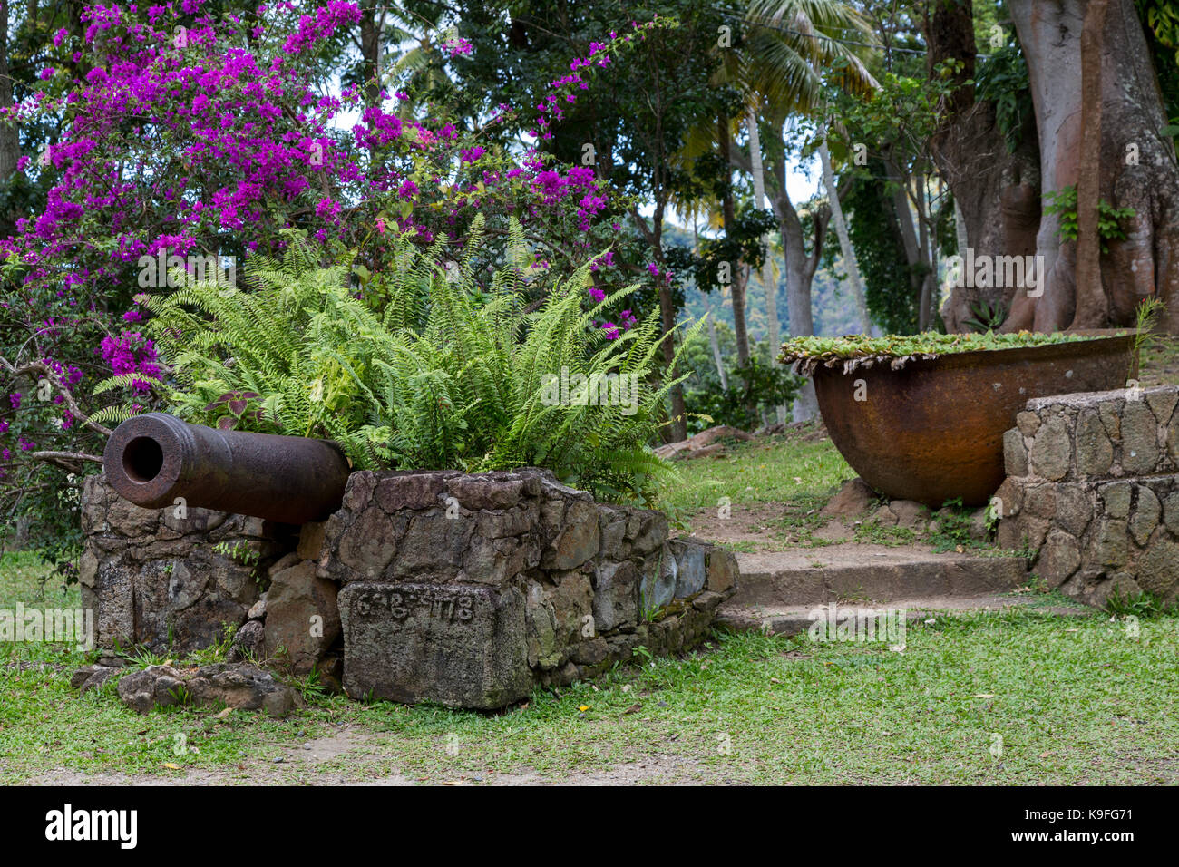 St. Lucia. Morne Coubaril Plantage Szene mit Cannon, Farne, und Bougainvillea. Stockfoto