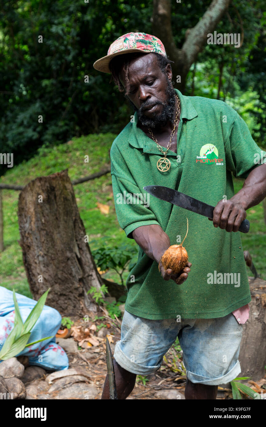 St. Lucia. Ein Arbeiter demonstriert die Öffnung von Kokosnüssen auf der Morne Coubaril Plantage. Stockfoto