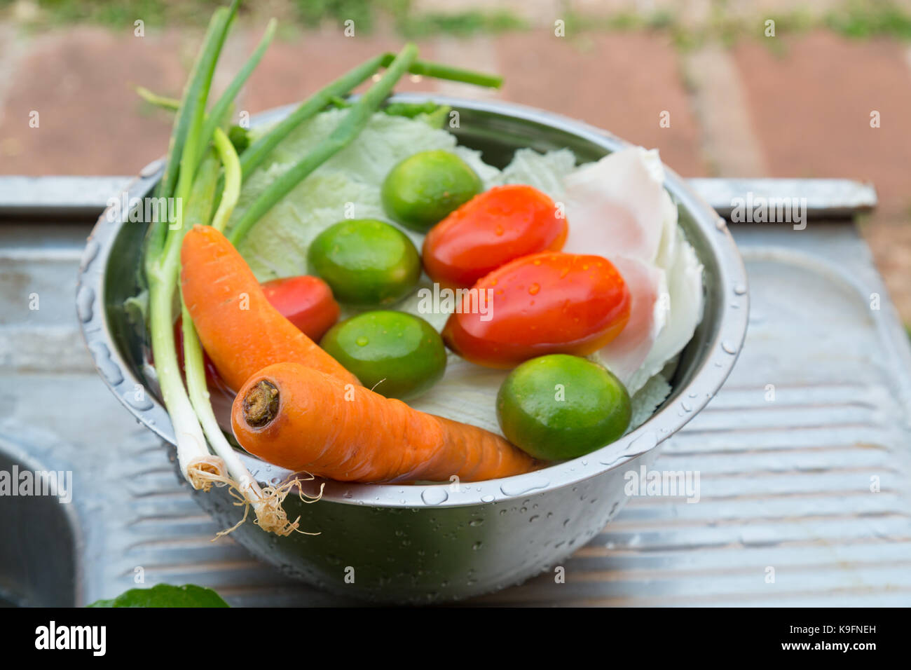 Gemüse (Zwiebeln, Karotten, Tomaten, Chinakohl) und Obst (Zitronen), gemischt, frisch in Metallschale auf Waschbecken gewaschen Stockfoto