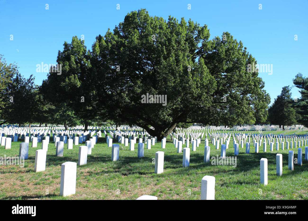 Weißer Friedhof und verteilter Grabstein auf dem nationalfriedhof washington arlington Stockfoto
