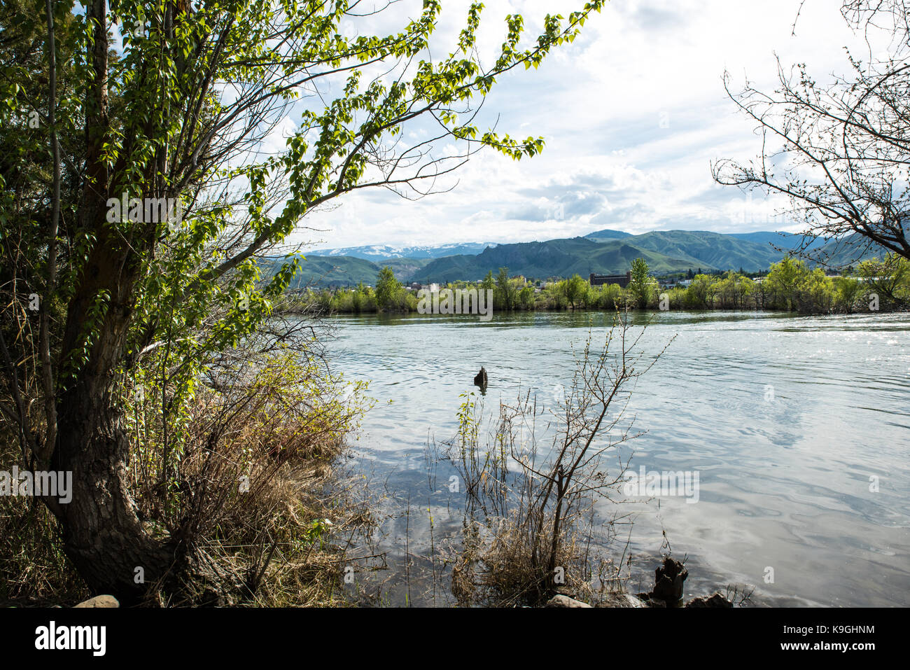 Haken in den Columbia River. Stockfoto