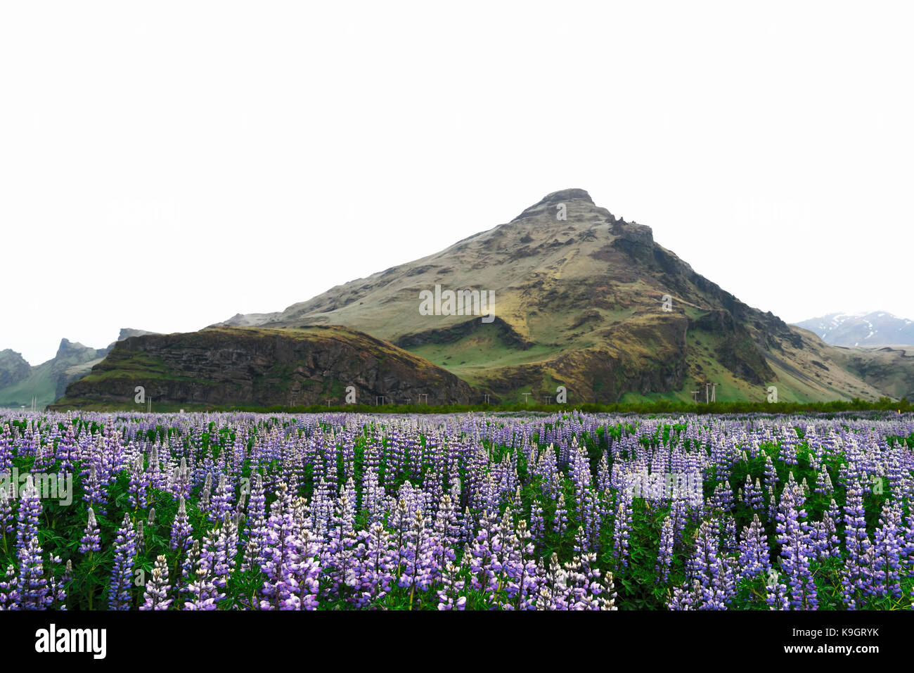 Typische Island Landschaft Stockfoto
