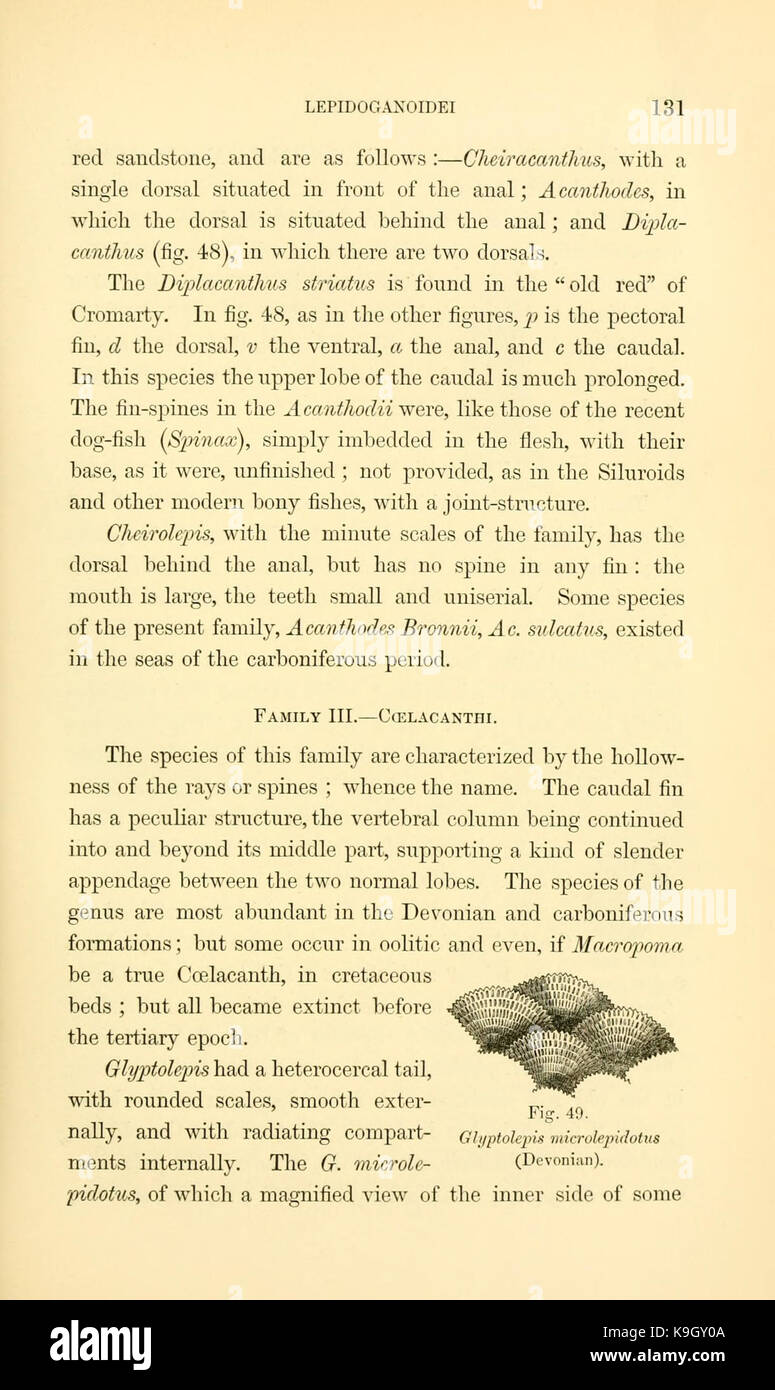 Paläontologie, oder, eine systematische Übersicht der ausgestorbenen Tiere und ihre geologischen Beziehungen (Seite 131) BHL 13779797 Stockfoto