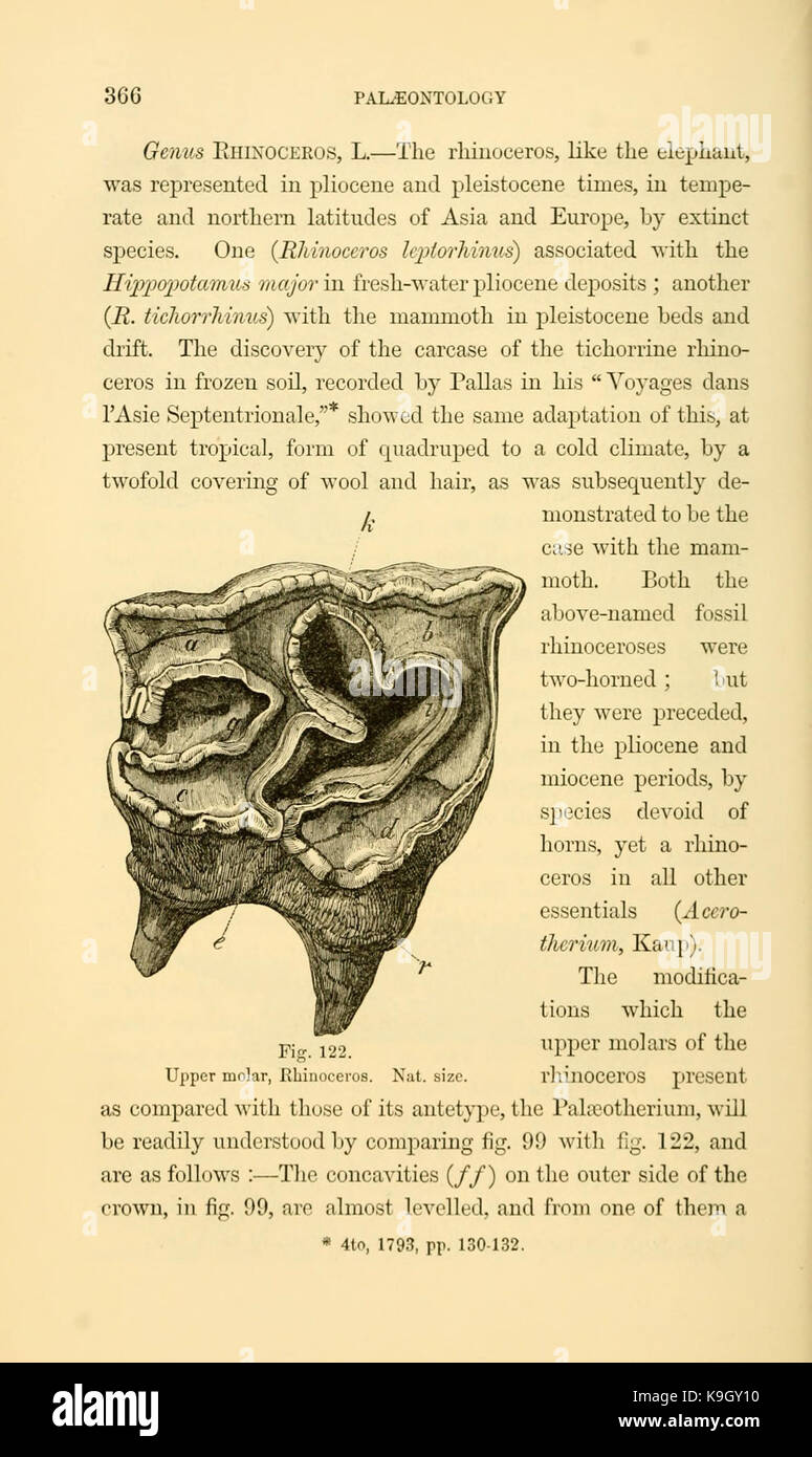 Paläontologie, oder, eine systematische Übersicht der ausgestorbenen Tiere und ihre geologischen Beziehungen (Seite 366) BHL 13780032 Stockfoto
