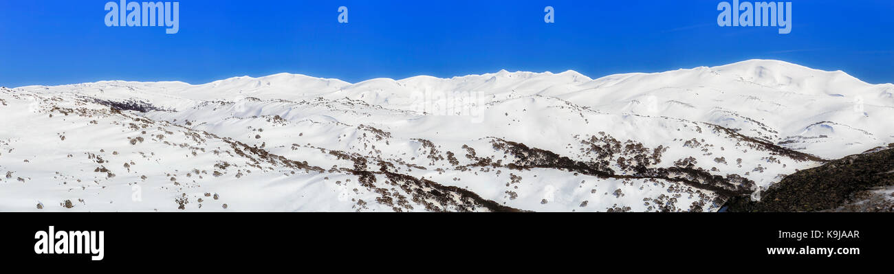 Breites Panorama der hohen Berg schneebedeckten Gipfeln von oben Zurück Perisher Berg in Snowy Mountains National Park, Australien. Beliebtes Skigebiet. Stockfoto