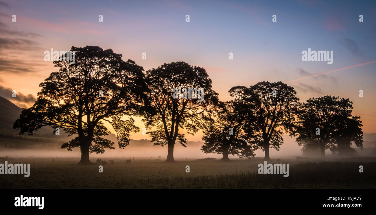 Erstes Licht an clachan der Campsie, Schottland Stockfoto