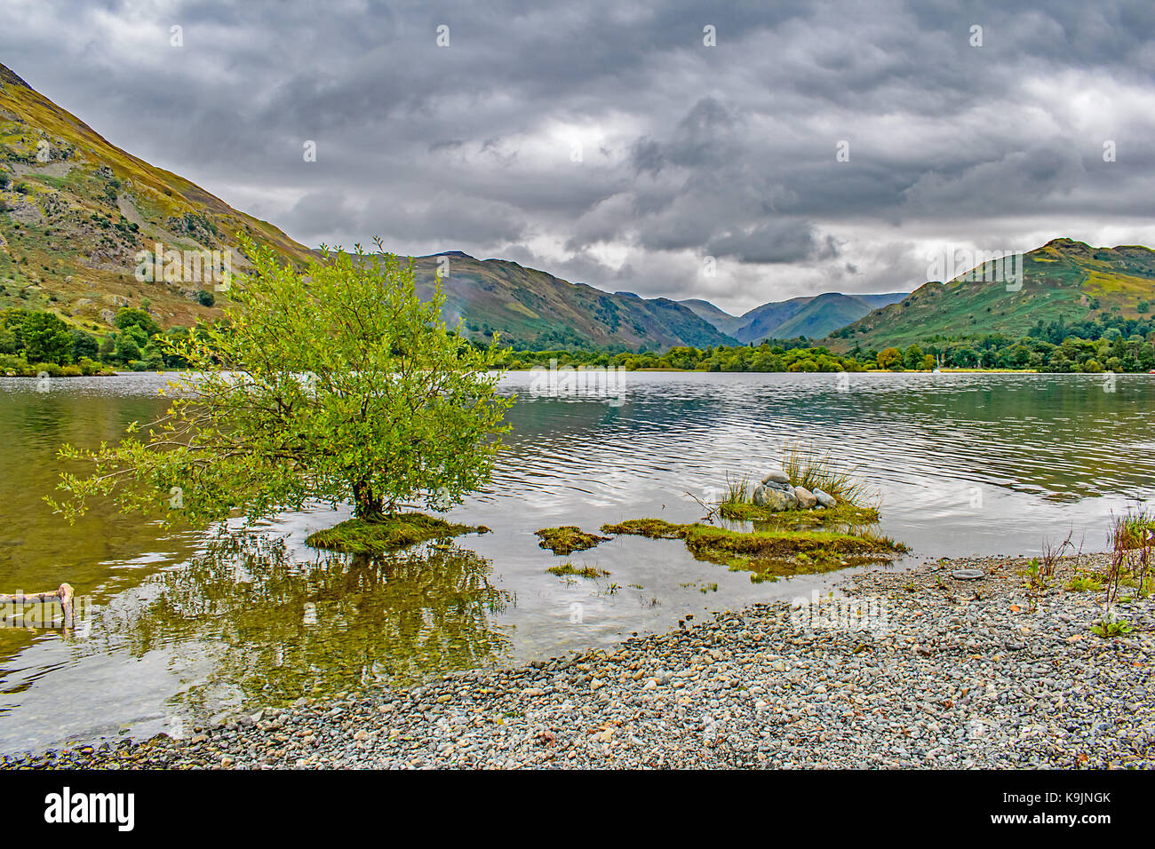 Ein einziger Busch im See bei Ullswater, England, auf einer eigenen winzigen Insel. Stockfoto