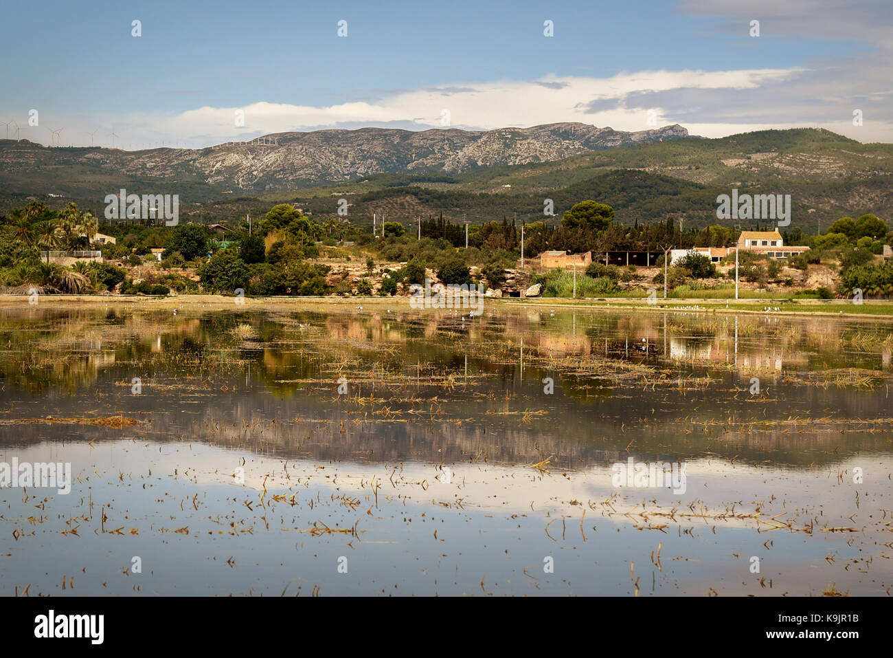 Delta del Ebro, Spanien Stockfoto