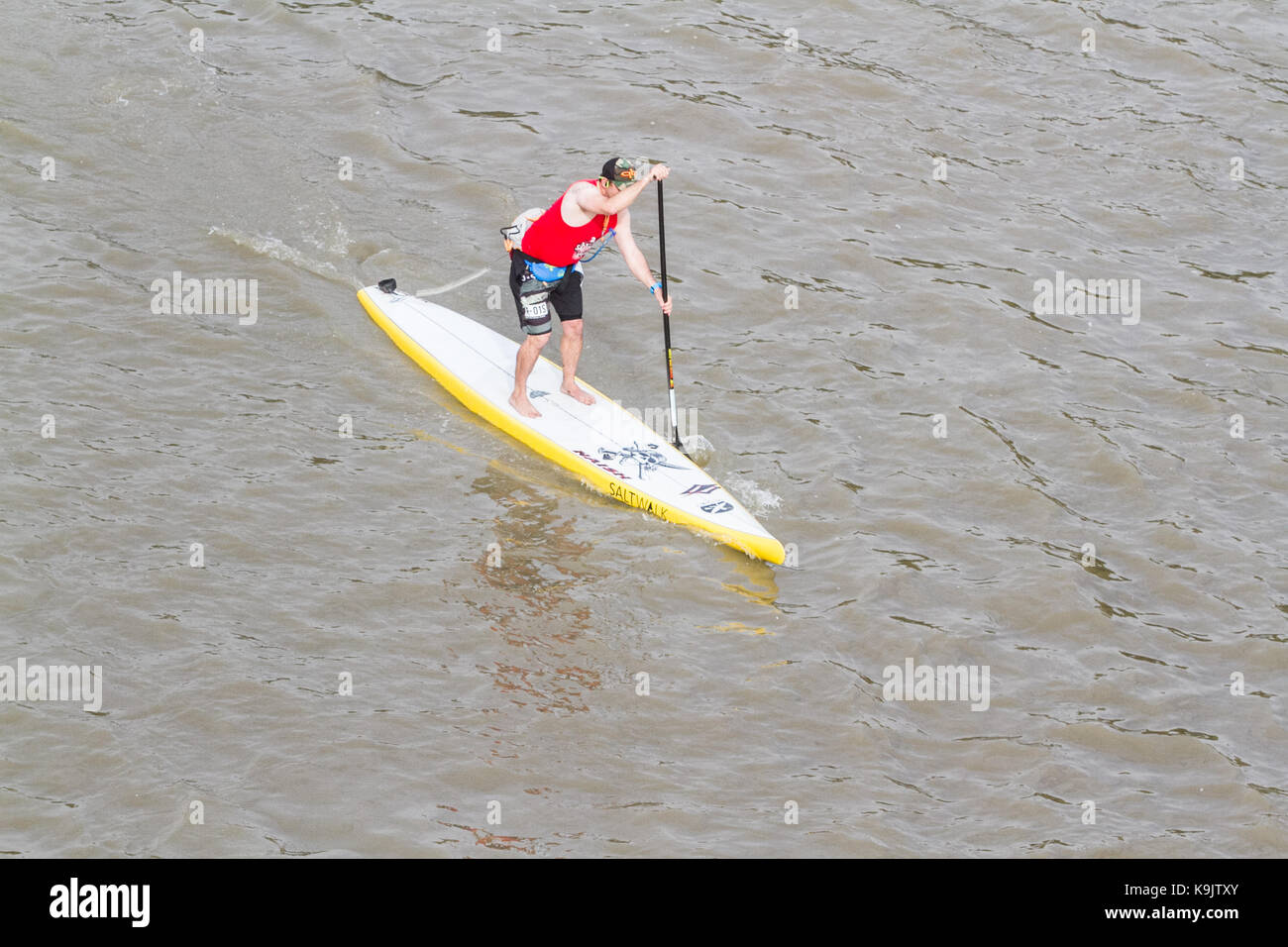 Putney London, UK. 23 Sep, 2017. Putney Kanu Clubs nehmen an einem Paddle Boarding Rennen auf der Themse an einem warmen Herbsttag. Paddler paddelten 20 km von Putney nach Westminster und zurück. Credit: Amer ghazzal/Alamy leben Nachrichten Stockfoto