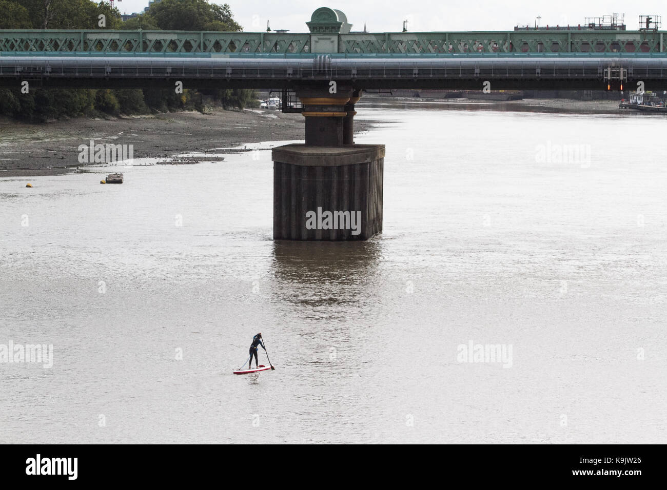 Putney London, UK. 23 Sep, 2017. Putney Kanu Clubs nehmen an einem Paddle Boarding Rennen auf der Themse an einem warmen Herbsttag. Paddler paddelten 20 km von Putney nach Westminster und zurück. Credit: Amer ghazzal/Alamy leben Nachrichten Stockfoto