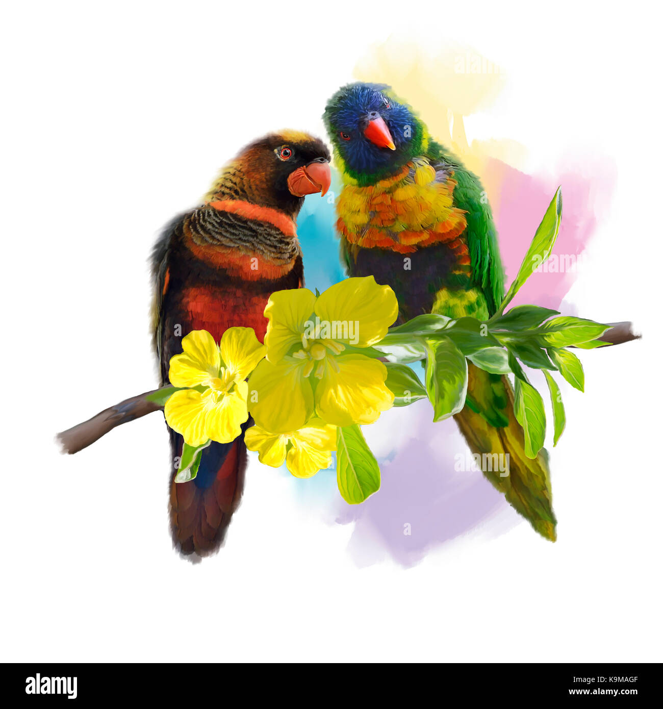 Digitale Malerei von lorikeet Papageien Stockfoto