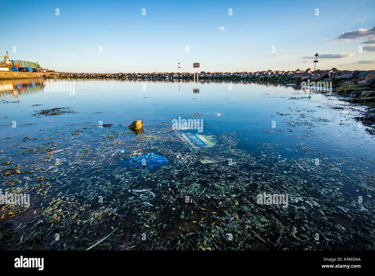 Three Shells Lagoon, Southend on Sea Seafront, Western Esplanade, Essex. Stagnierender Meerwasserpool und Müll. Stagniert Stockfoto