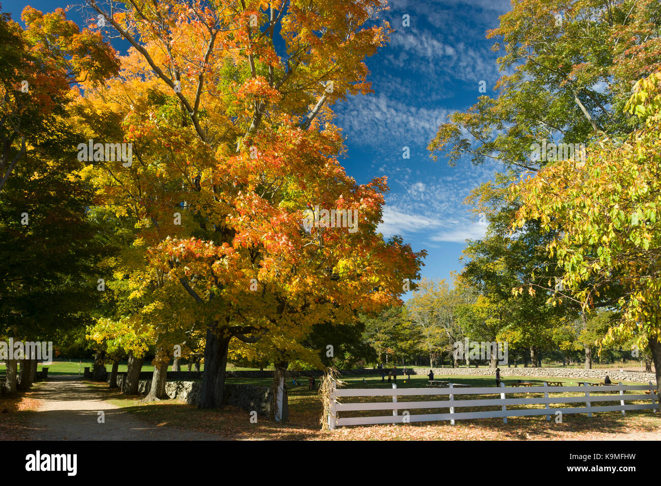Herbstfarben atAppleton Farmen & Gras Fahrten, Hamilton, Massachusetts Stockfoto