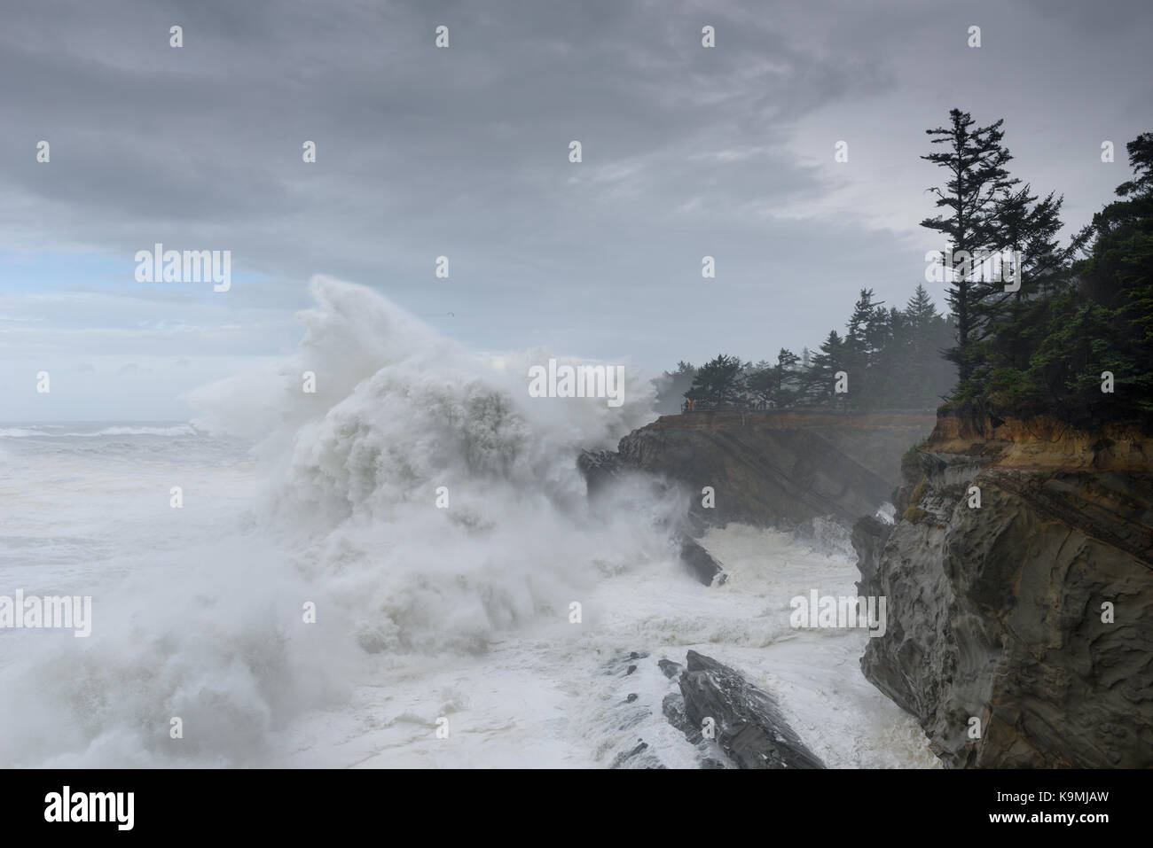 Schwillt ein Jahrzehnt Krachen gegen die Klippen von Shore Acres State Park, Coos Bay Oregon Stockfoto