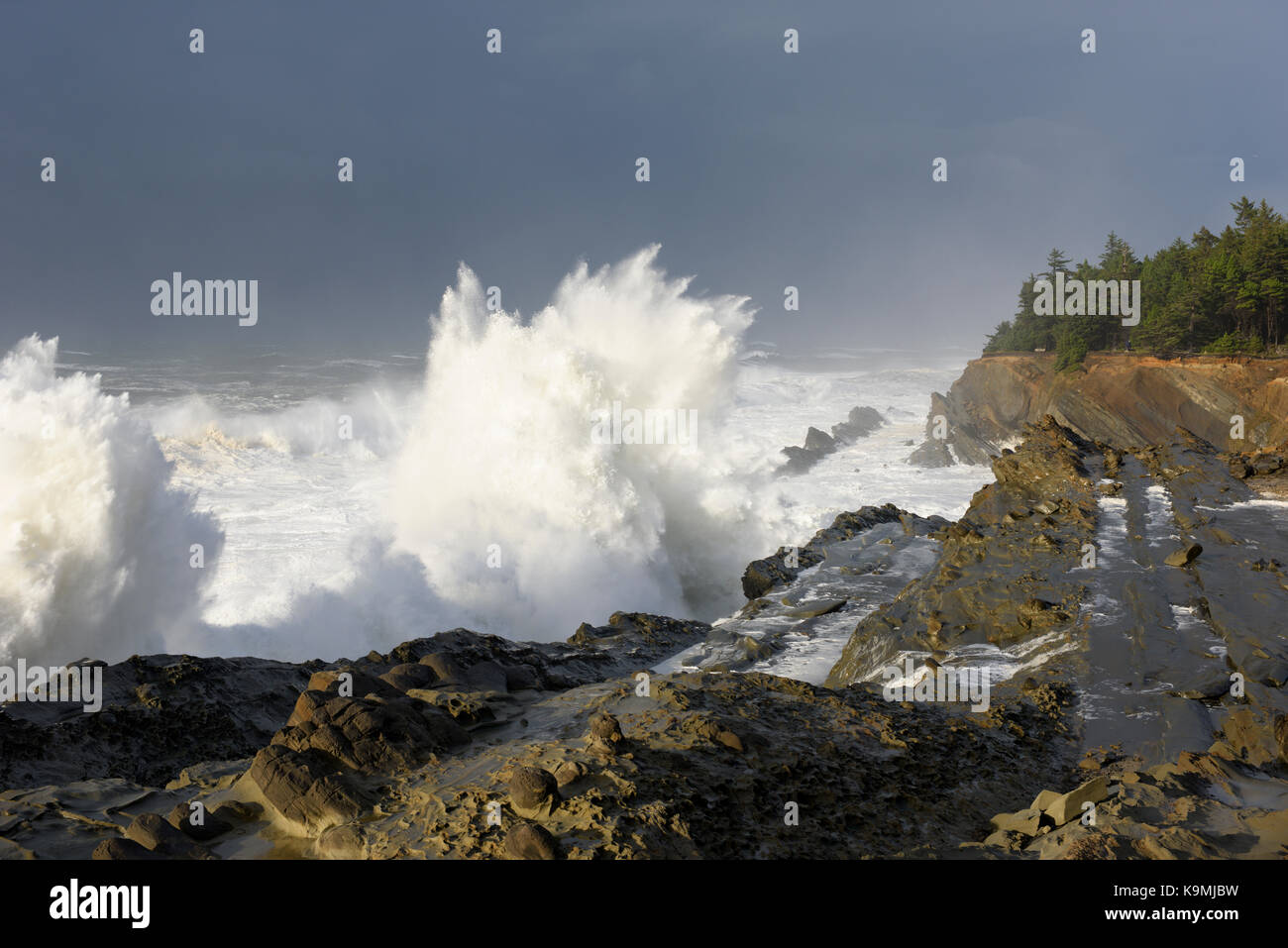 Schwillt ein Jahrzehnt Krachen gegen die Klippen von Shore Acres State Park, Coos Bay Oregon Stockfoto