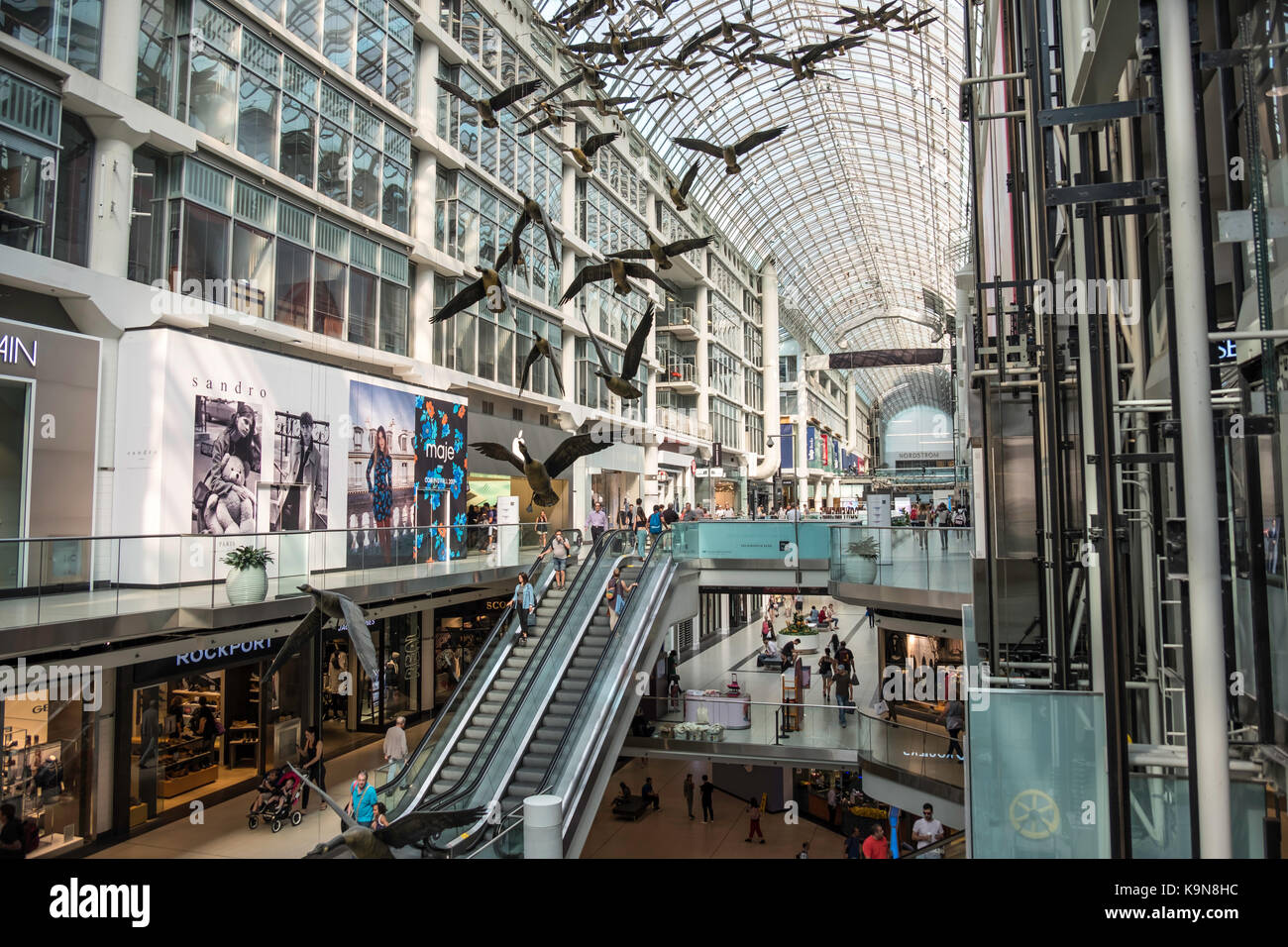 Kanada Gänse, Toronto Eaton Centre, Toronto, Ontario, Kanada, Einkaufszentrum, Stockfoto