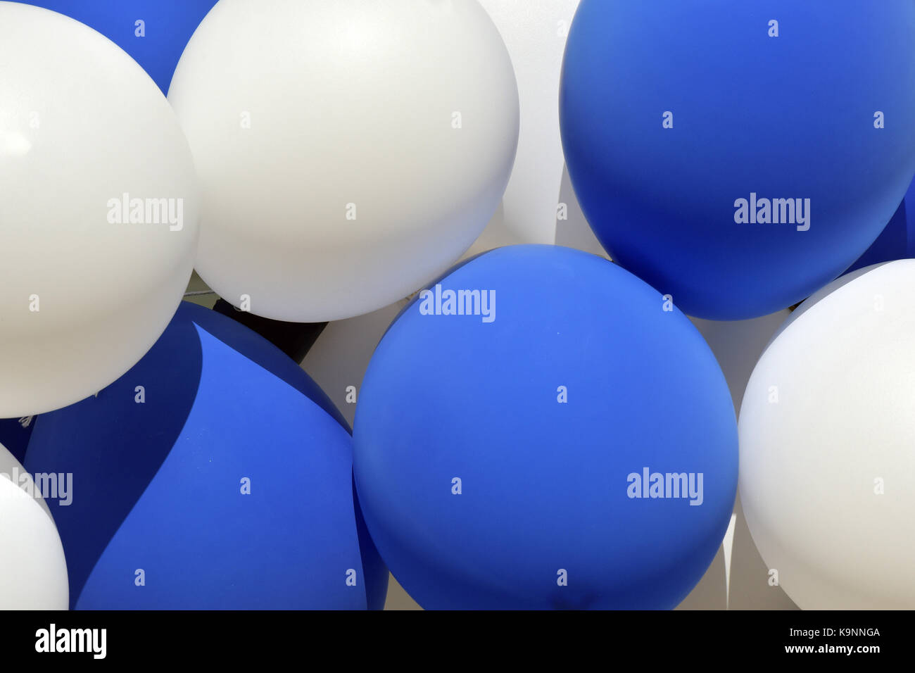 Ein Bündel von blauen und weißen Luftballons dicht gedrängt zusammen, die in der Luft schweben oder gebündelt und bilden ein Muster. aufgeblasene Luftballons für Dekorationen. Stockfoto