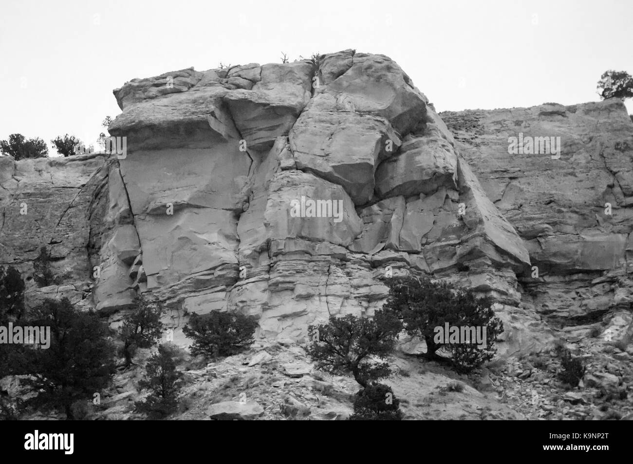 Ein schwarz-weiß Foto von einer Felswand Bildung in Utah mit gepunkteten Bäume. Stockfoto