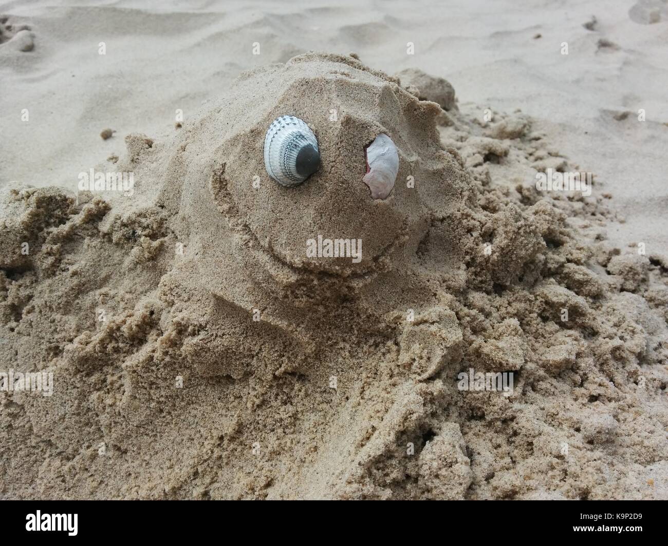 Sand Kreatur Stockfoto