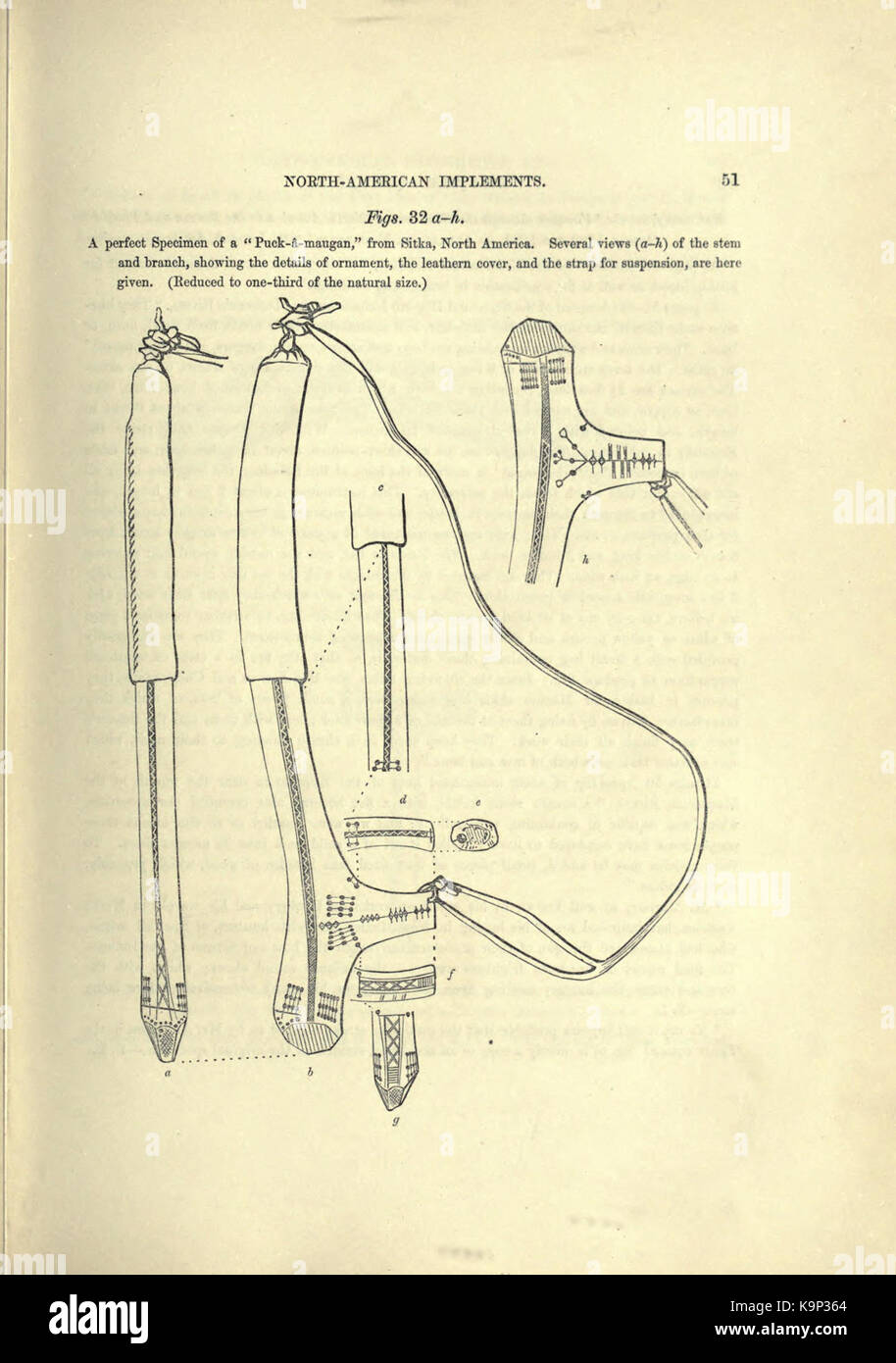 Reliquiae aquitanicae (Seite 51) BHL 20495302 Stockfoto