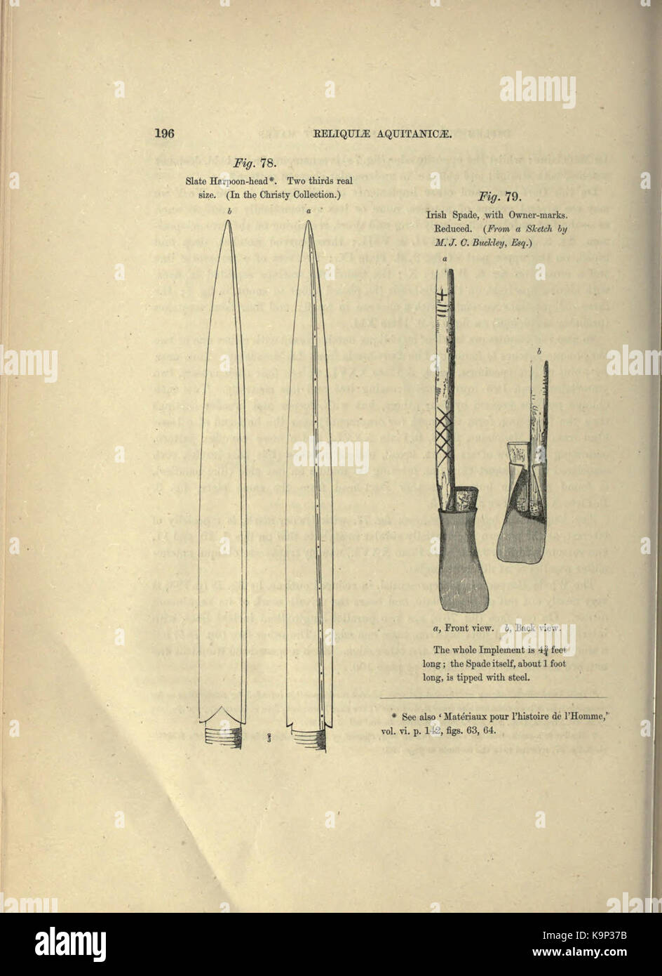 Reliquiae aquitanicae (Seite 196) BHL 20495461 Stockfoto