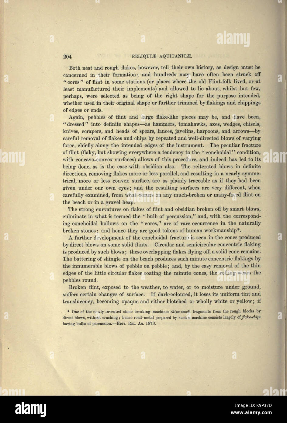 Reliquiae aquitanicae (Seite 204) BHL 20495469 Stockfoto