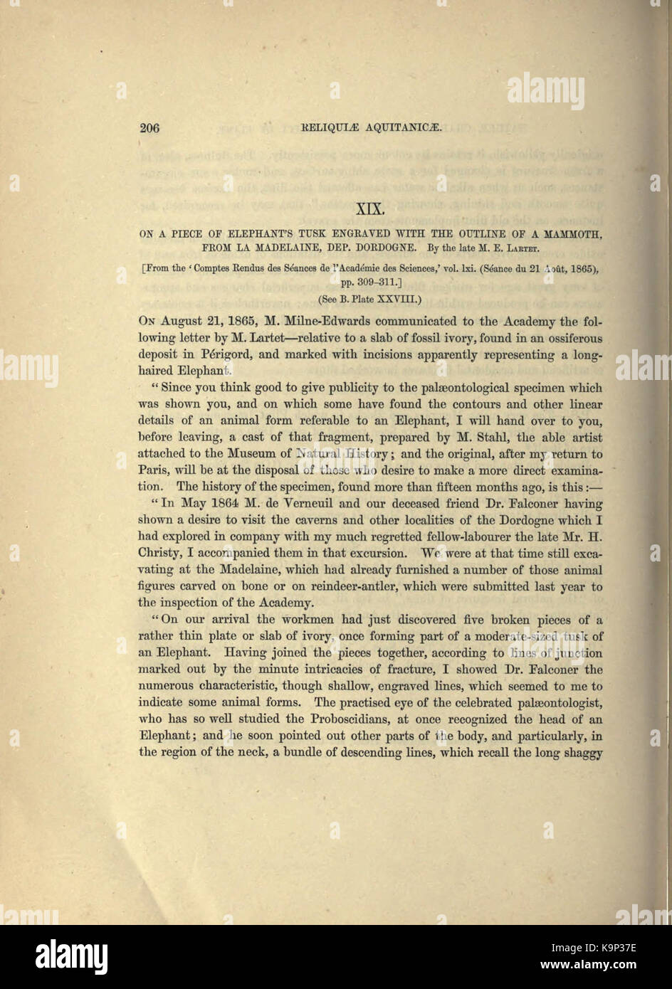 Reliquiae aquitanicae (Seite 206) BHL 20495471 Stockfoto