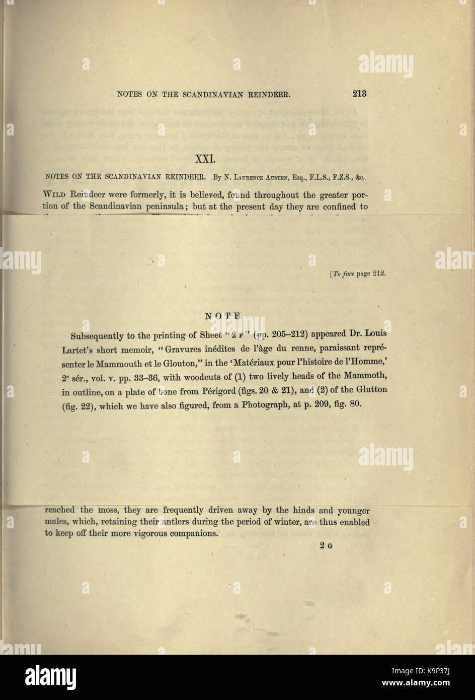 Reliquiae aquitanicae BHL 20495478 Stockfoto