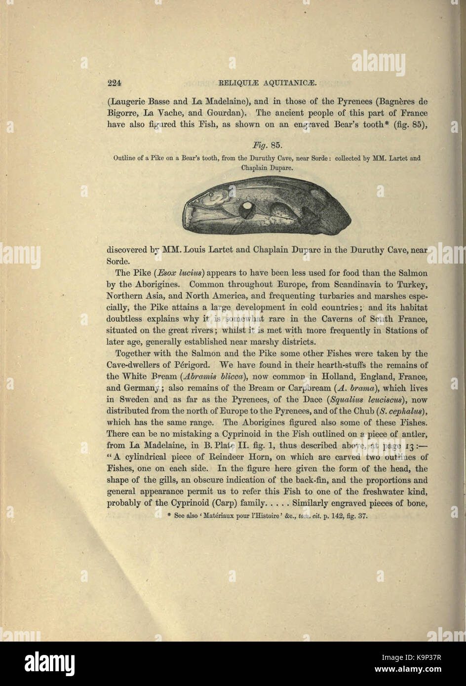 „Reliquiae aquitanicae“ ist ein historischer Text, der die Archäologie und antike Geschichte der Region Aquitanien in Frankreich beschreibt. Auf dieser Seite werden wahrscheinlich spezifische archäologische Funde oder Studien aus dem Gebiet behandelt. Stockfoto