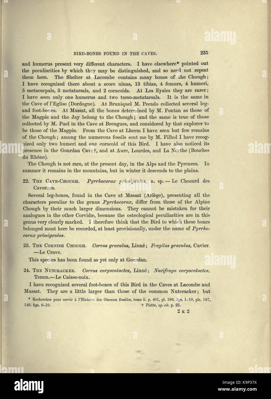 Reliquiae aquitanicae (Seite 235) BHL 20495502 Stockfoto