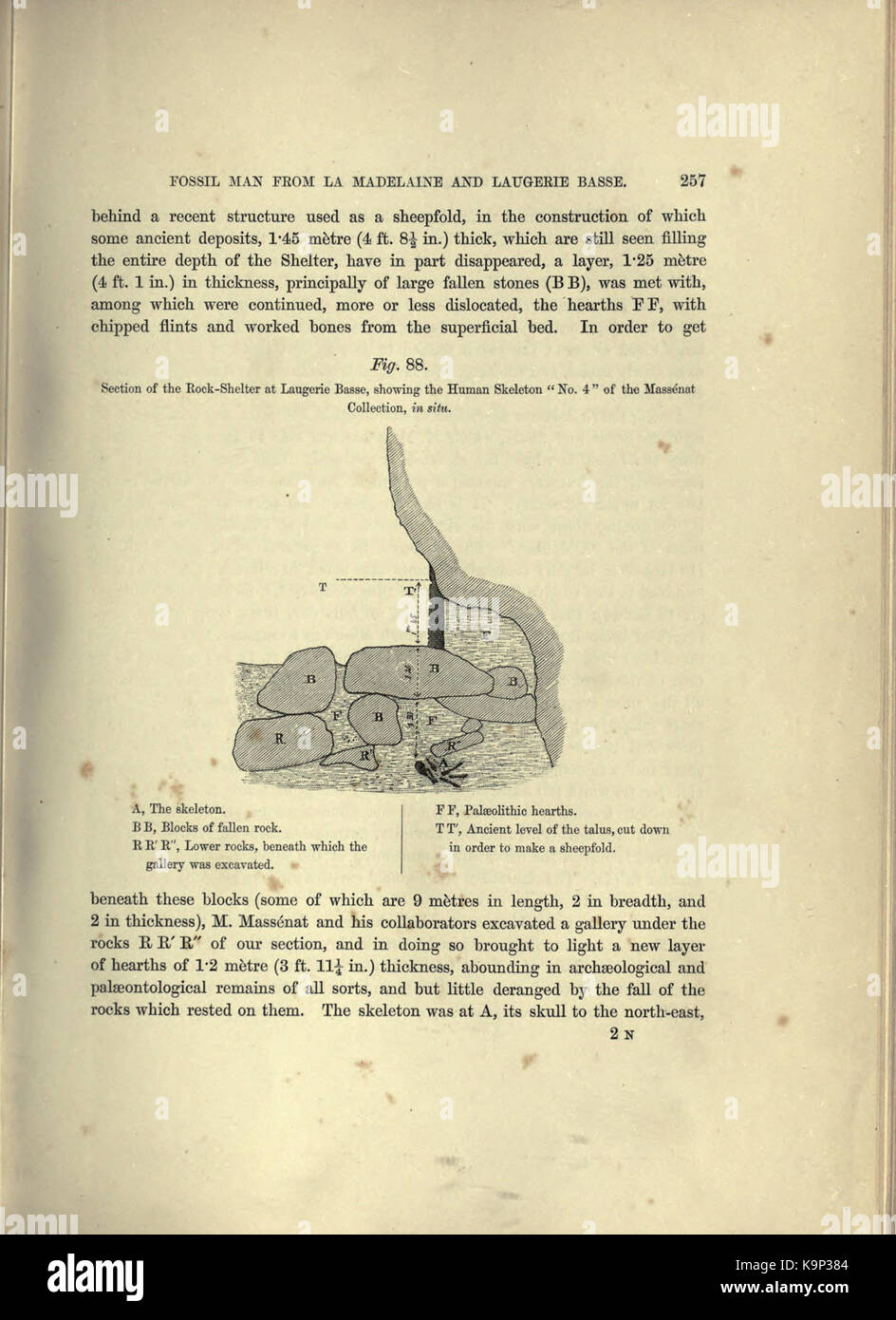 Reliquiae aquitanicae (Seite 257) BHL 20495524 Stockfoto