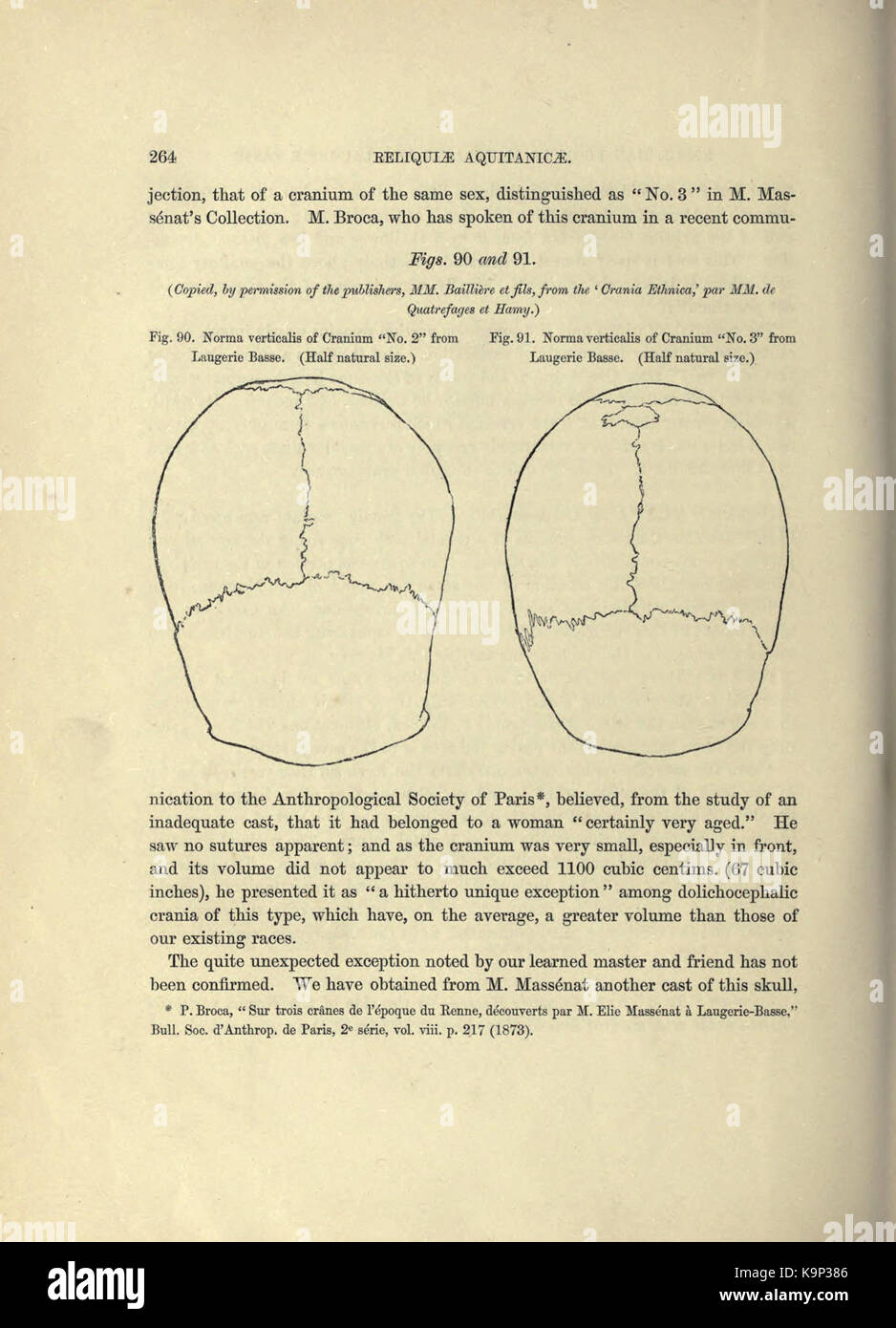 Reliquiae aquitanicae (Seite 264) BHL 20495531 Stockfoto