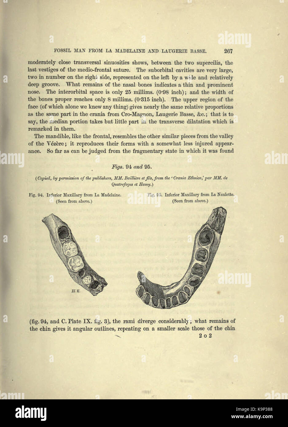 Reliquiae aquitanicae (Seite 267) BHL 20495534 Stockfoto