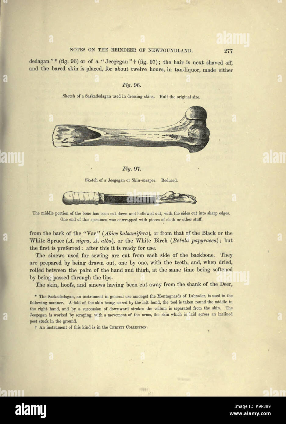 Reliquiae aquitanicae (Seite 277) BHL 20495544 Stockfoto