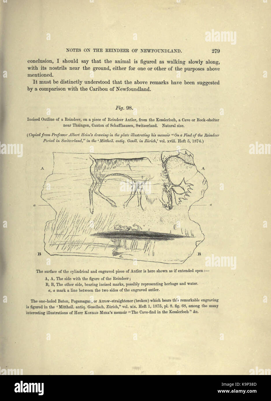 Reliquiae aquitanicae (Seite 279) BHL 20495546 Stockfoto