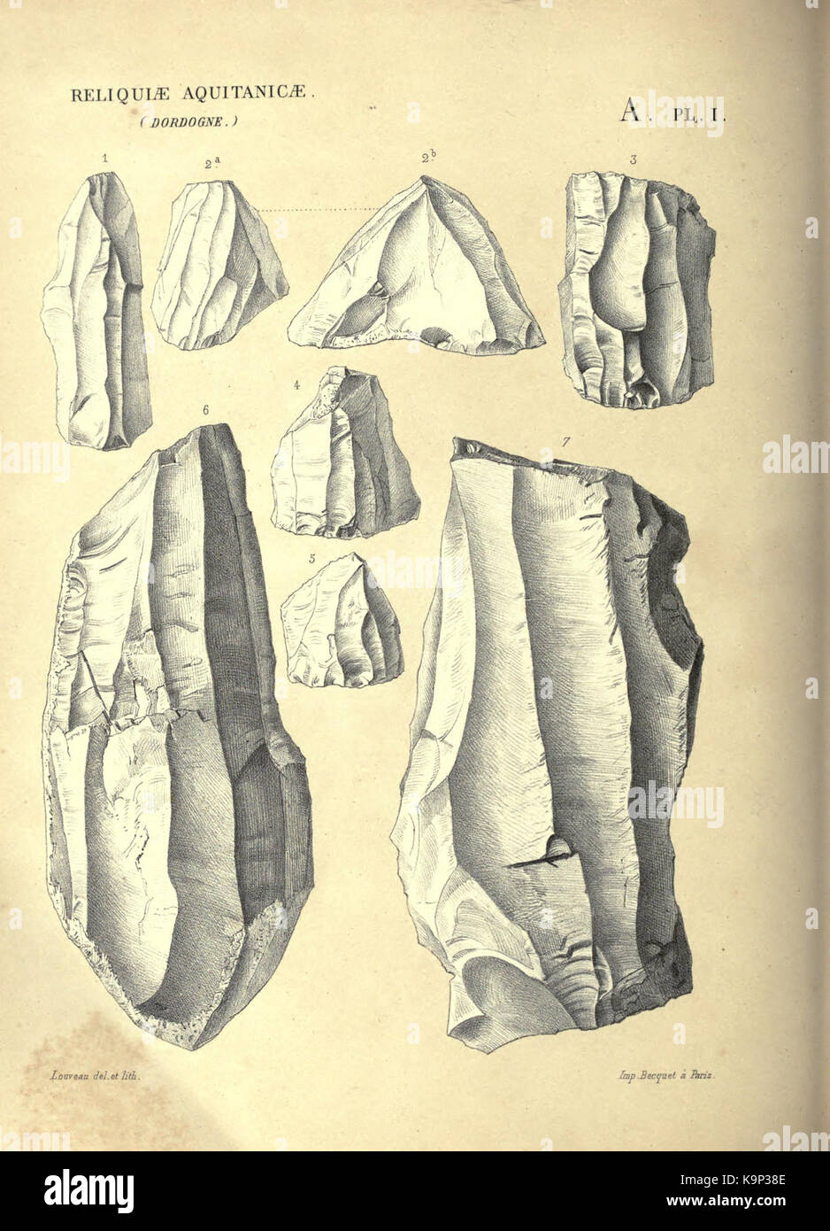 Reliquiae aquitanicae (Seite 306) BHL 20495573 Stockfoto