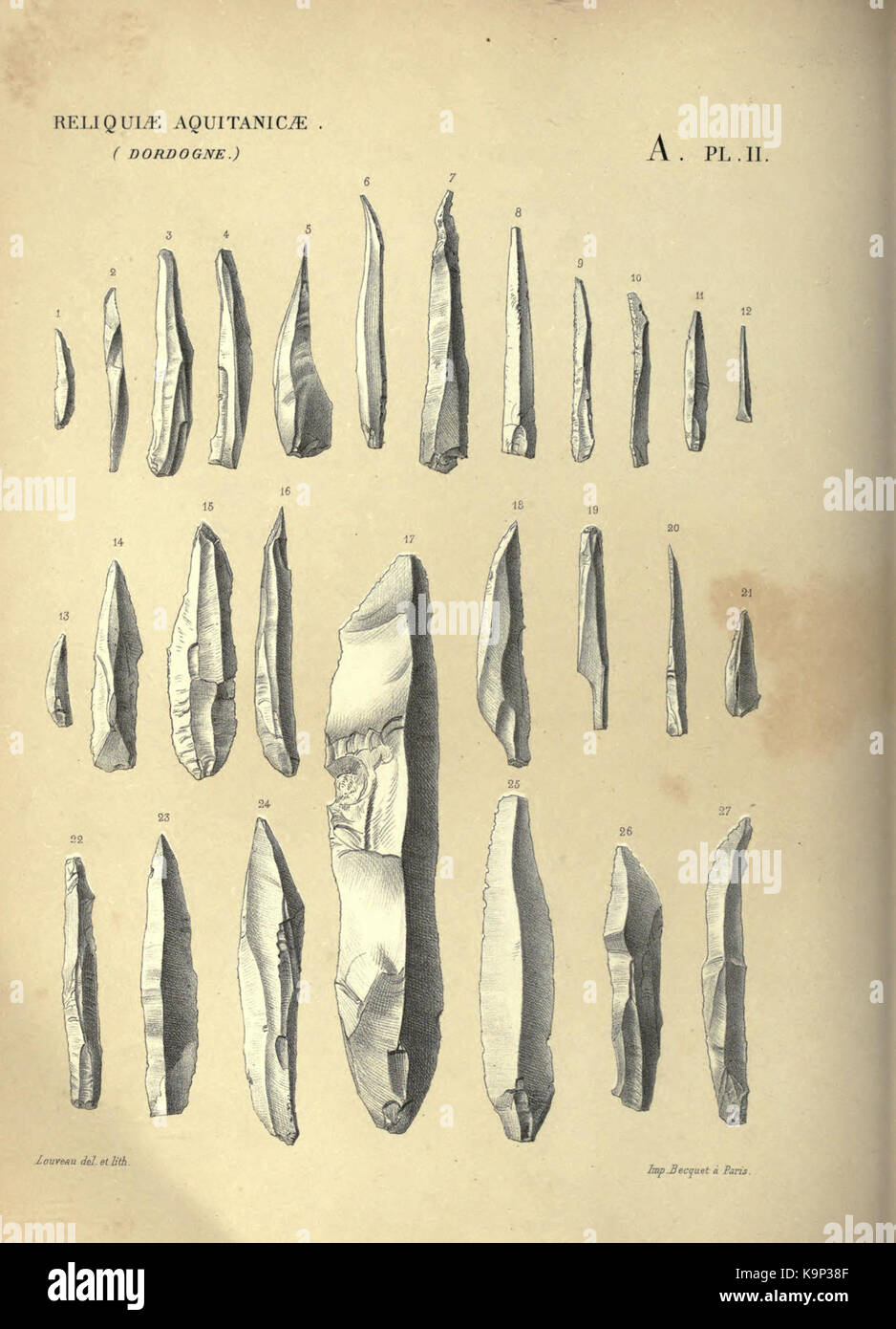 Reliquiae aquitanicae BHL 20495577 Stockfoto