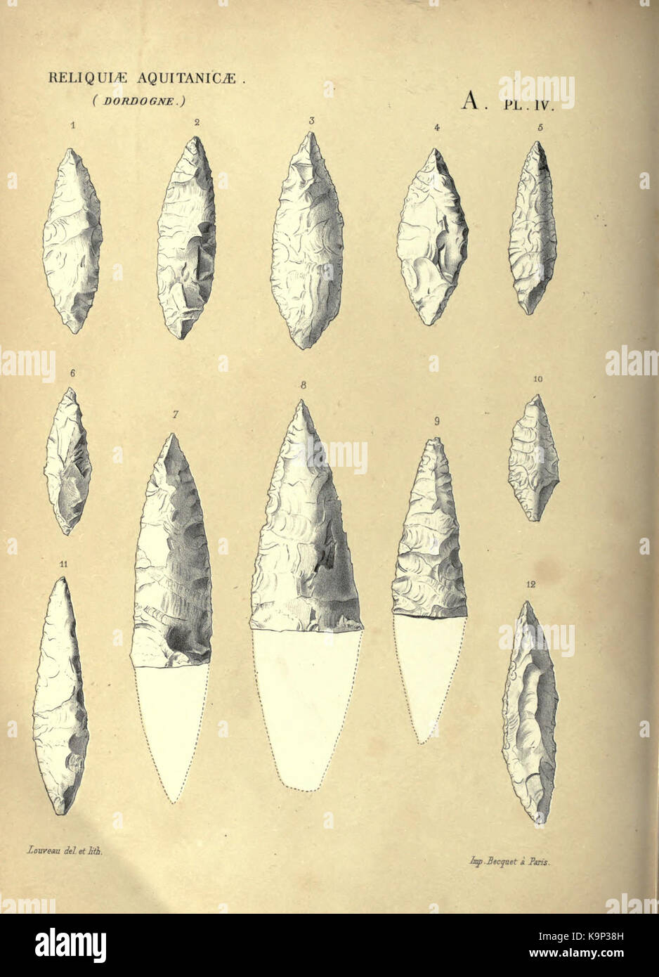 Reliquiae aquitanicae BHL 20495585 Stockfoto